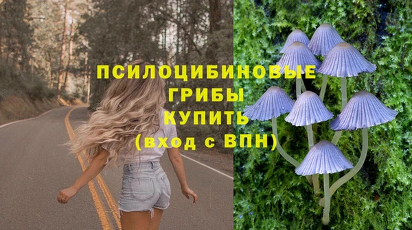 мяу мяу кристалл Горняк