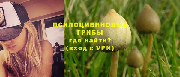 ALPHA PVP Надым