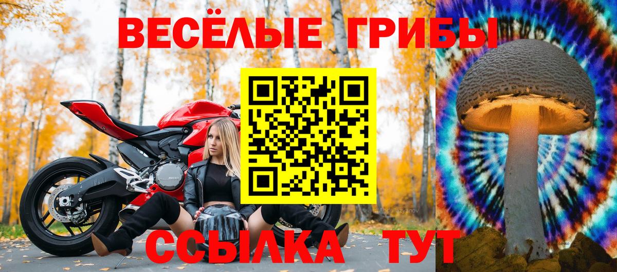 Псилоцибиновые грибы мухоморы  Вход с VPN  Краснотурьинск 