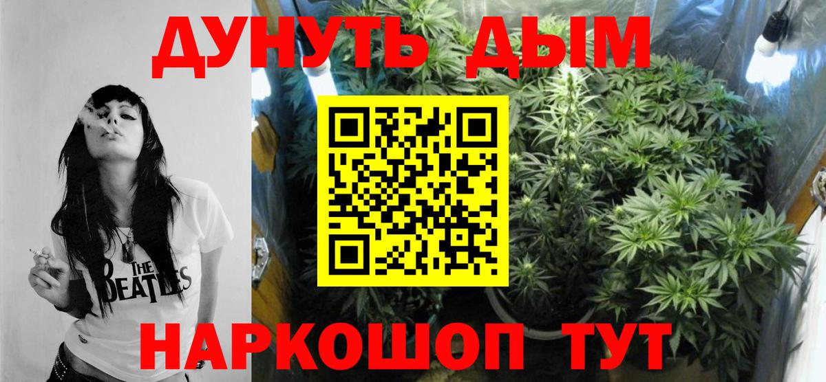 Бошки Шишки марихуана Краснотурьинск
